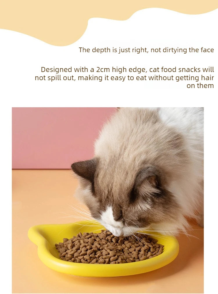 Cat Food Dish
