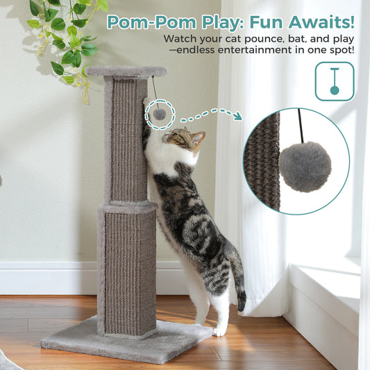 What cat doesn't enjoy a nice go at the Scratching Post?  And every person owned by a cat appreciates the Scratching Post saving the furniture!