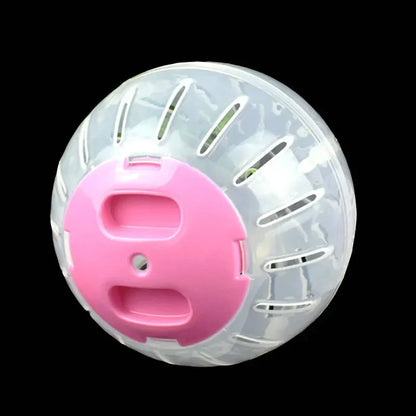Clear plastic ball for small Pets