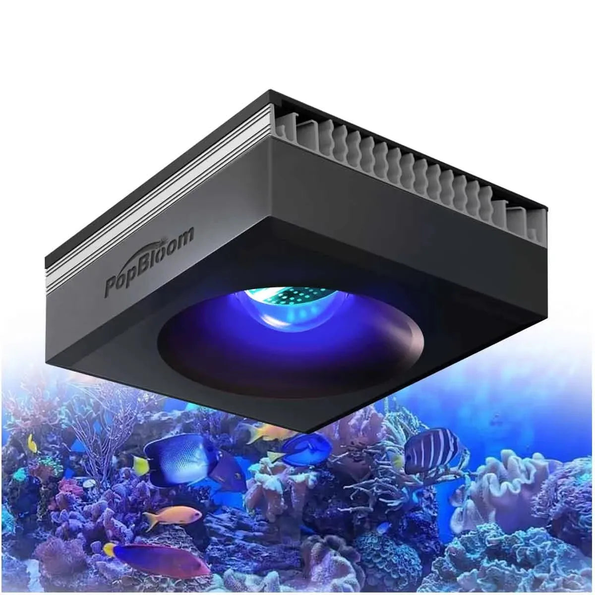 WiFi Reef Aquarium Lights