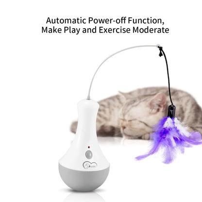 No matter if you call it 'Interactive Cat Toy', 'Funny Feather Kitten Teaser,' or 'Indoor Automatic Feather  Cat Toy'...one word says  it all...FUN!