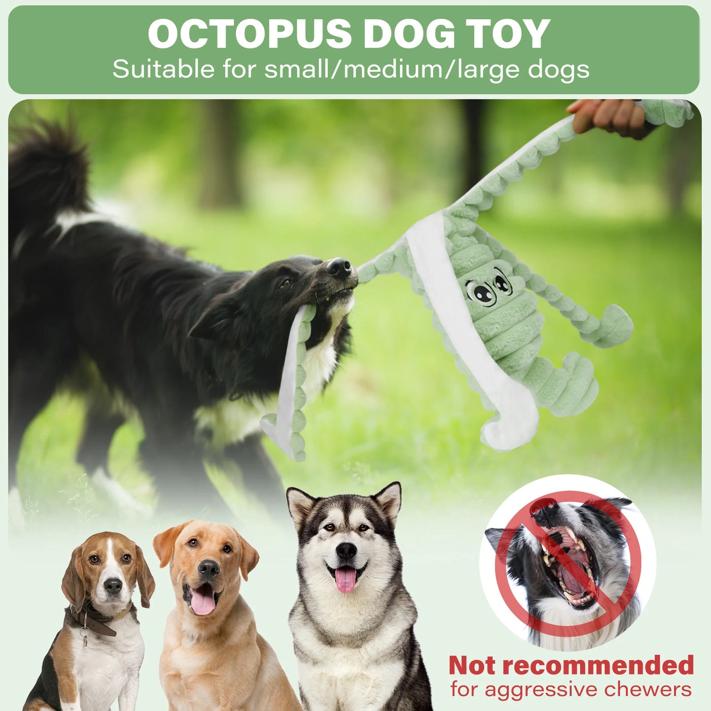 Does your dog have problems with grinding teeth?   This squeaky plush octopus may just be the solution you're looking for.  Such a relief for you and your canine friend.  Why not give it a try?