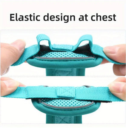 Pet Harness Vest and Leash Set