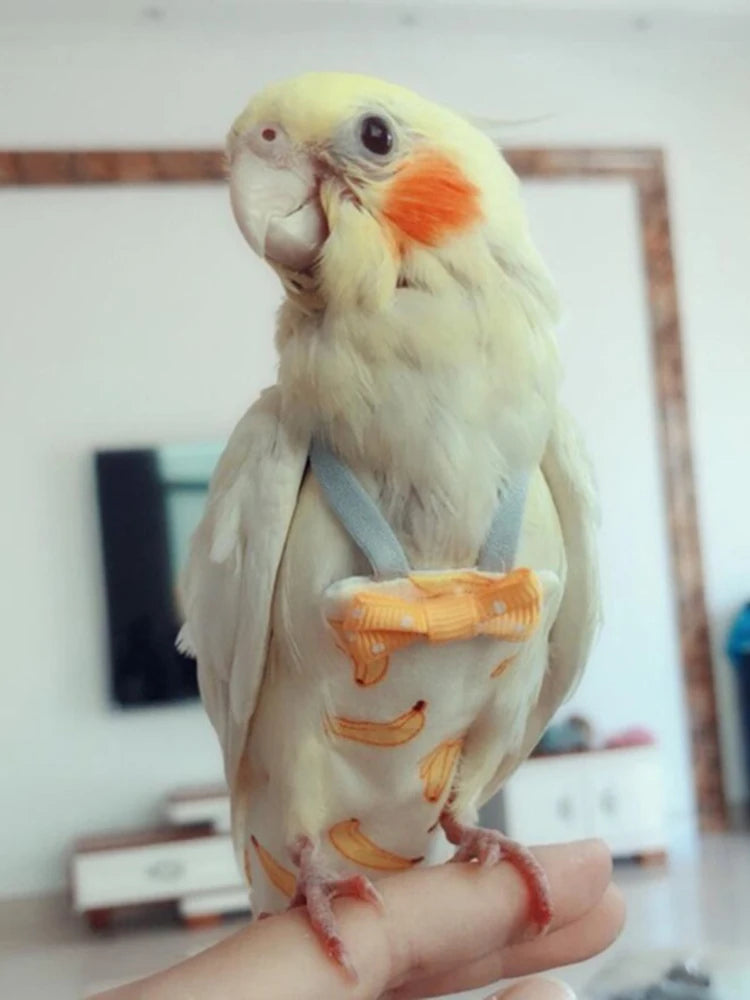 Flight suit/diaper for various sized birds