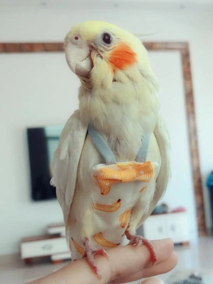 Flight suit/diaper for various sized birds