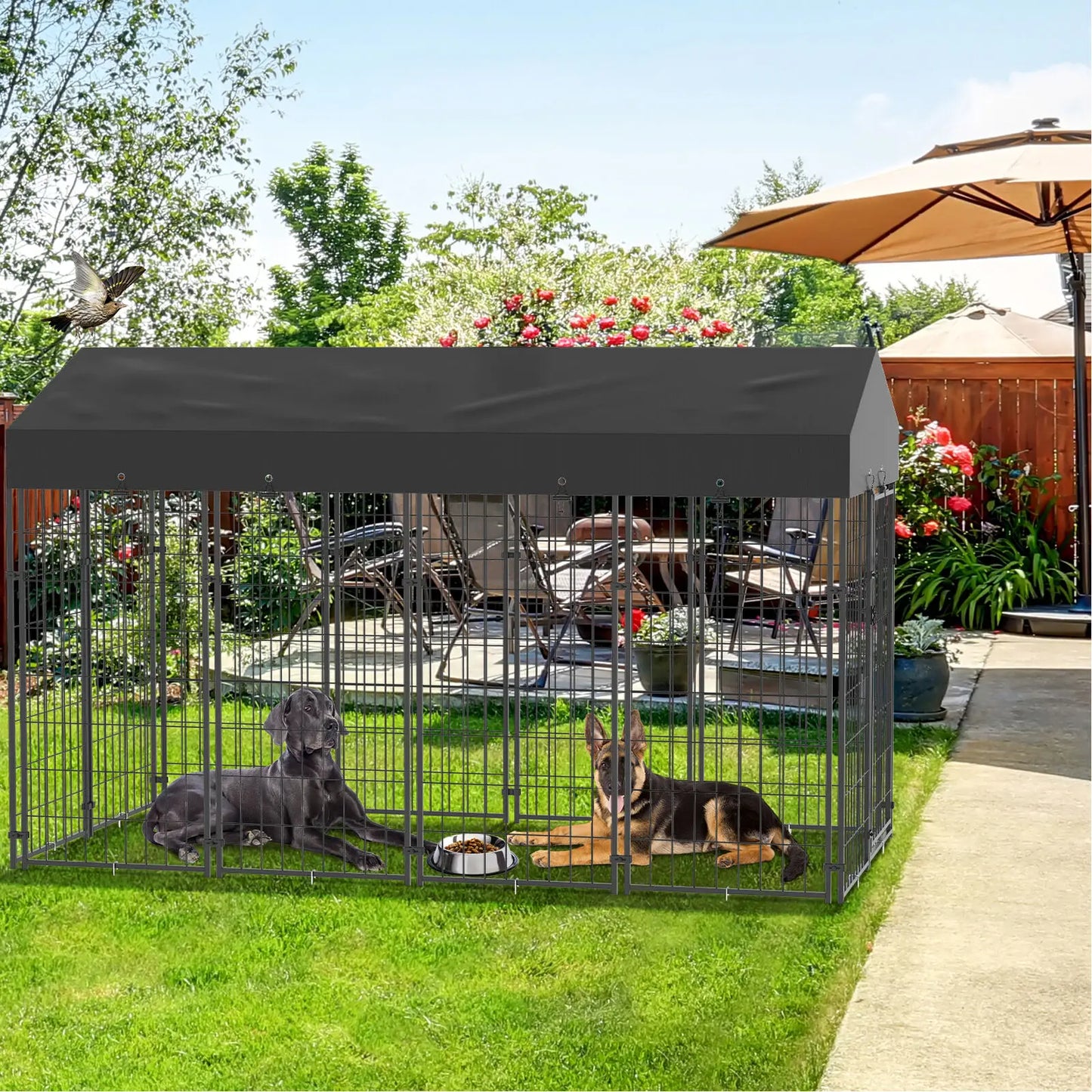 Outdoor Pet Run Enclosure With Roof