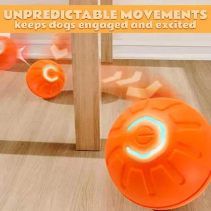 Electric And Gravity Ball For Dogs and Cats