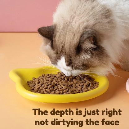 Cat Food Dish