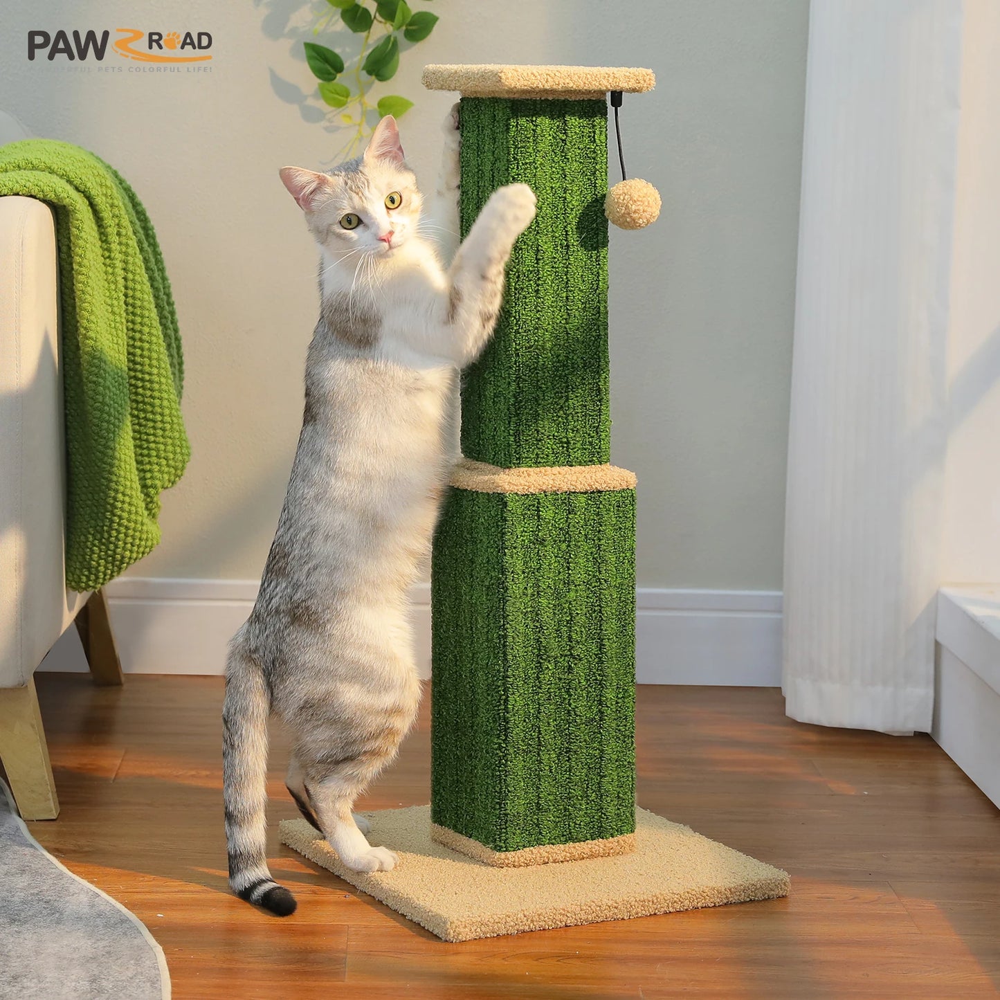 What cat doesn't enjoy a nice go at the Scratching Post?  And every person owned by a cat appreciates the Scratching Post saving the furniture!