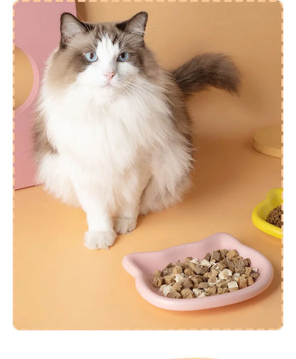 Cat Food Dish