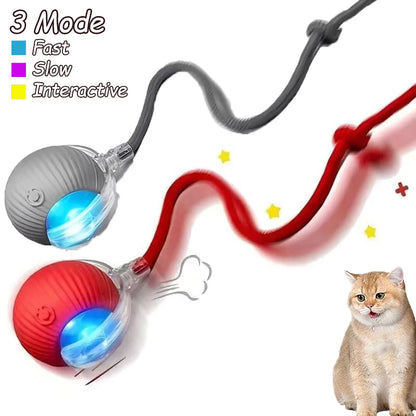 Interactive Automatic  Rolling Ball