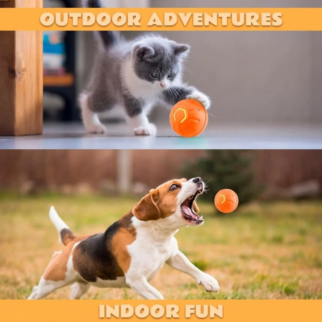 Electric And Gravity Ball For Dogs and Cats