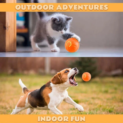Electric And Gravity Ball For Dogs and Cats