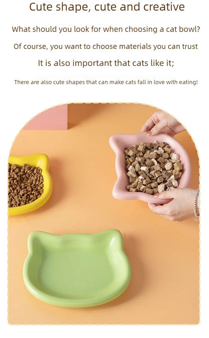 Cat Food Dish