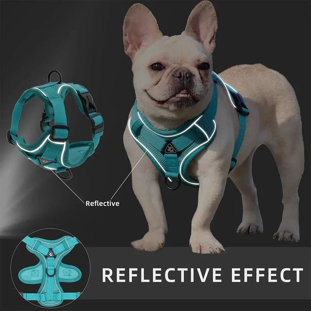 Pet Harness Vest and Leash Set