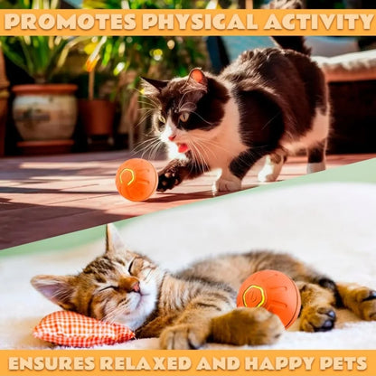 Electric And Gravity Ball For Dogs and Cats