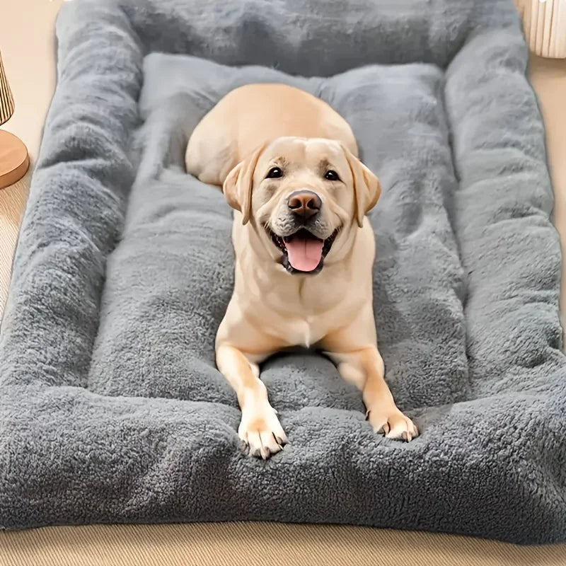 Oversized Dog Cat Bed