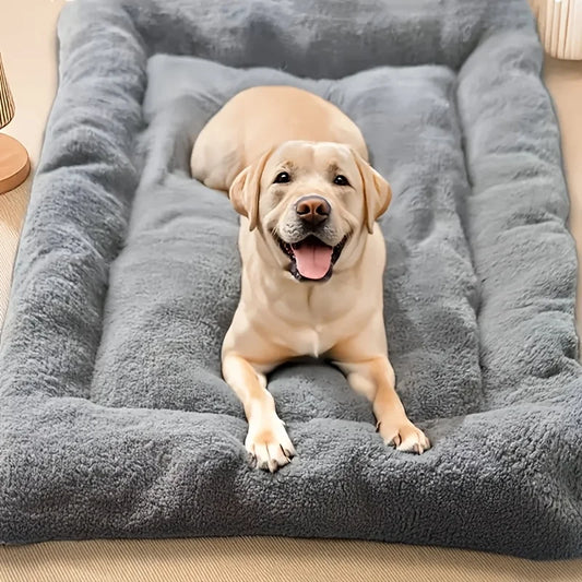 Oversized Dog Cat Bed