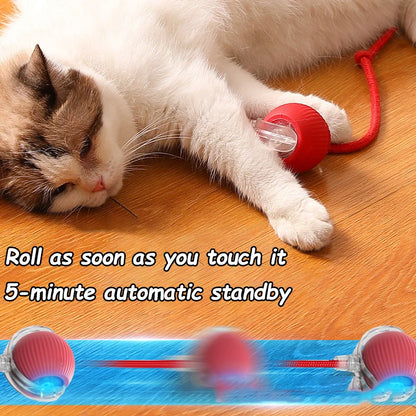 Electric Interactive Ball for Dog or Cat