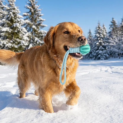 Dog Chew Ball On a Rope