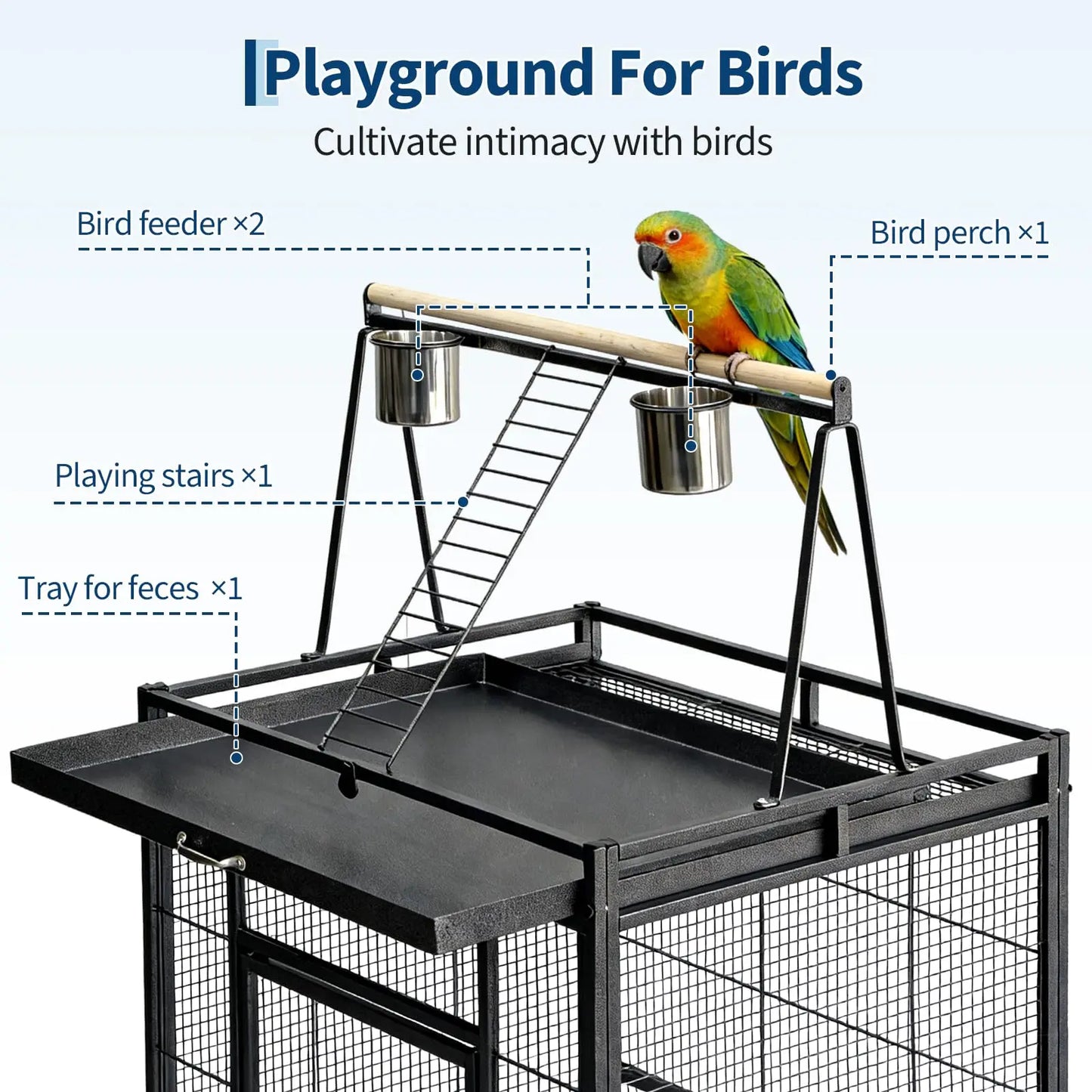 What a lovely spacious birdcage!   With a height of 69 inches your  beautiful bird has plenty of room!