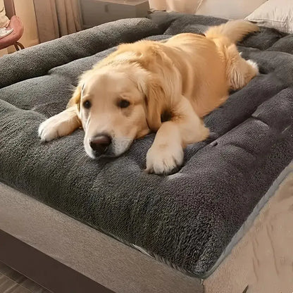 Oversized  Dog or Cat Bed