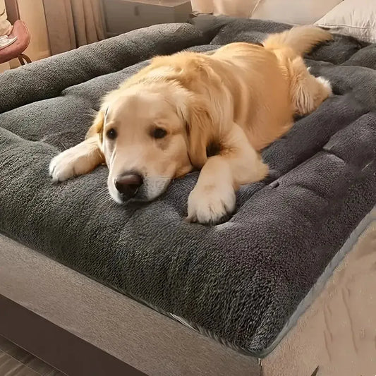 Oversized  Dog or Cat Bed