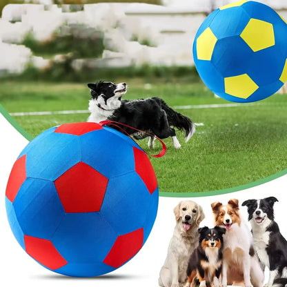 Animal Training/Herding/Playing Balls